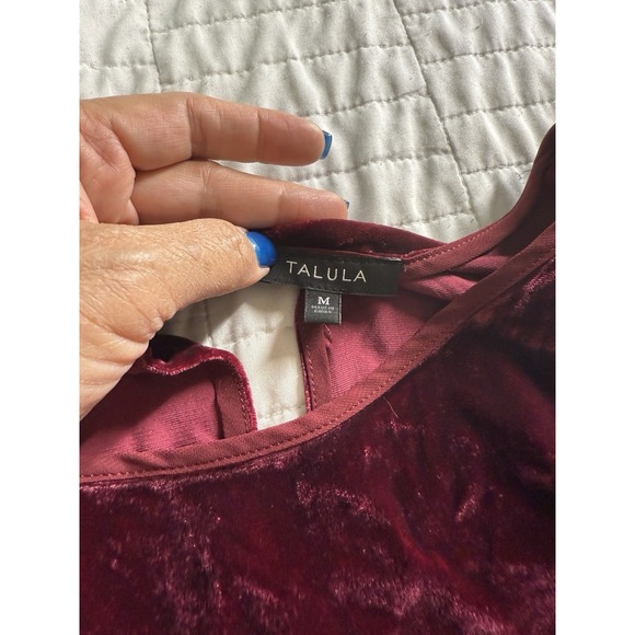 Aritzia Y2K Burgundy‎ Velvet Velour Whimsigoth Dark Romantic Mini Dress Med - Picture 8 of 8